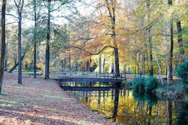 istock Autumn Colors – Park Groeneveld (Netherlands) 1293047416