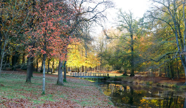 istock Autumn Colors – Park Groeneveld (Netherlands) 1293047797