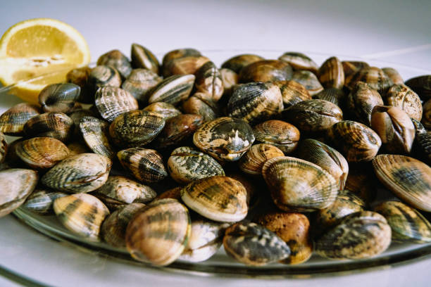 clams from spain very exquisite