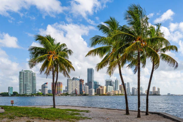 istock Miami, Florida, USA Tropical Downtown Skyline 1293059524