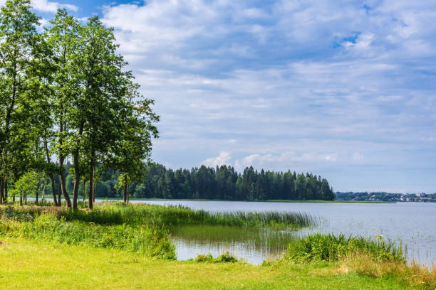 istock Summer landscape with lake, forest and blue sky clouds 1293060184