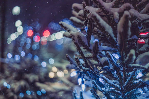 istock Close up of Christmas Tree at night while Snowing 1293060367