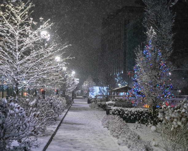 istock Hamilton, Ontario - Snow Covered Footpath at Gore Park at Night 1293061142