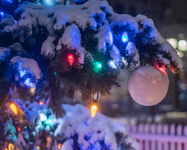 istock Close up of Christmas Tree at night while Snowing 1293061145