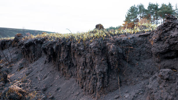 istock Countryside dirt road rising on a hill 1293065528