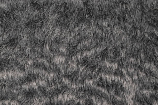 istock faux texture background, top view of gray fur pattern 1293068205