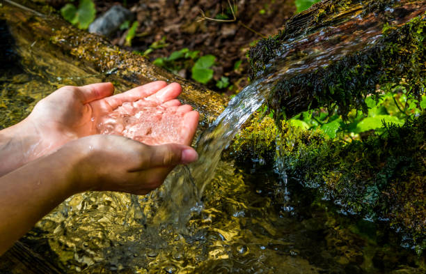 istock Washing Hands And Drink From A Spring With Clear And Cold Mountain Water 1293069890