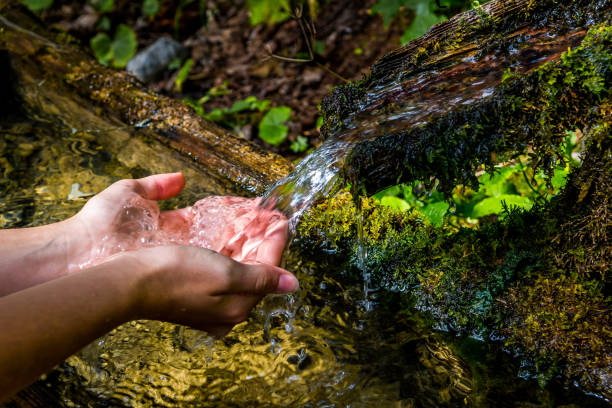 istock Washing Hands And Drink From A Spring With Clear And Cold Mountain Water 1293069941