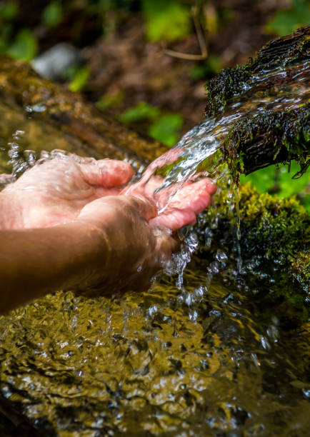 istock Washing Hands And Drink From A Spring With Clear And Cold Mountain Water 1293070916