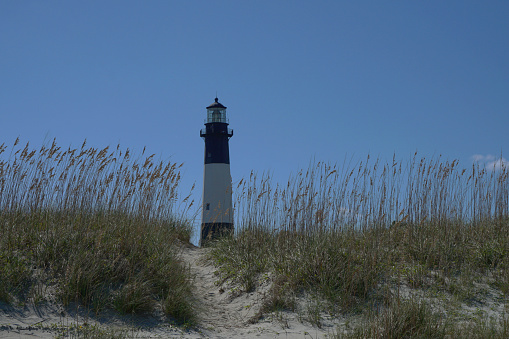 Foreground of sea oats and a lighthouse in the background against a clear blue sky