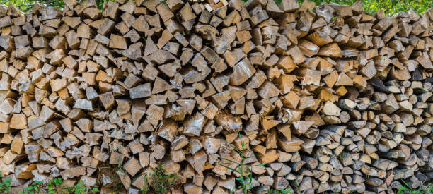 istock Pile of firewood 1293071111