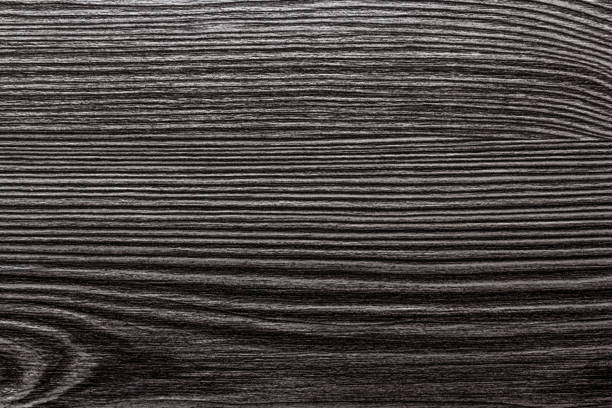 Free picture: timber, tree, cortex, bark, black, close-up, texture ...