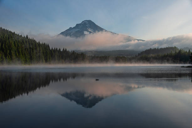 istock Mt Hood Refelected in Trillium Lake 1293072737