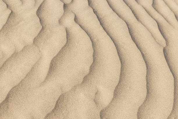 istock Sand patterned by the wind, Mesquite Dunes, Death Valley, California. 1293072764
