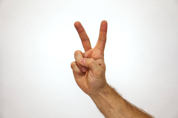 istock High two three. Right palm Caucasian male hand shows fingers. Hand brush man 1293073507