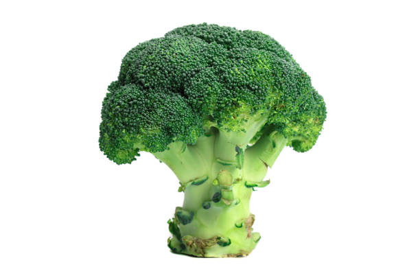 istock Fresh broccoli isolated on white, healthy food 1293074530