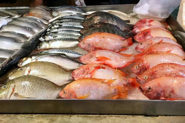 istock Many assorted fresh sea fish on the counter 1293079529