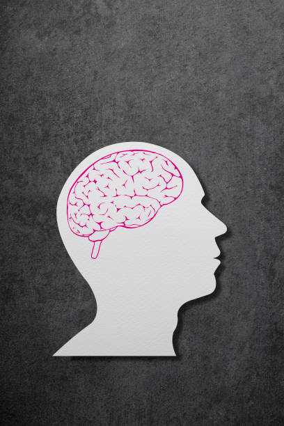 istock Paper Cut Human Head And Brain With Clipping Path 1293084961