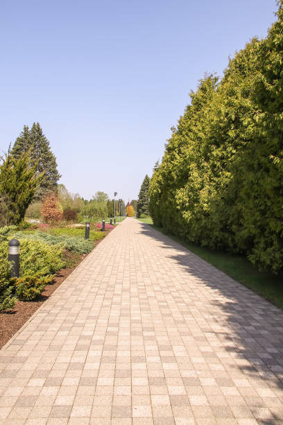 istock Spring landscape in botanical garden 1293087286