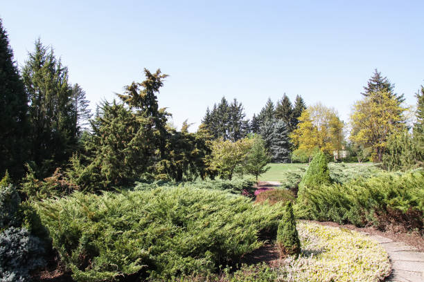 istock Spring landscape in botanical garden 1293087428