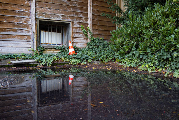 istock Old Wooden hut and a road cone 1293088538