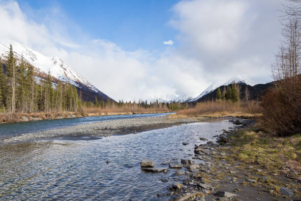 istock Alaskan landscape with mountains, river and trees 1293089557