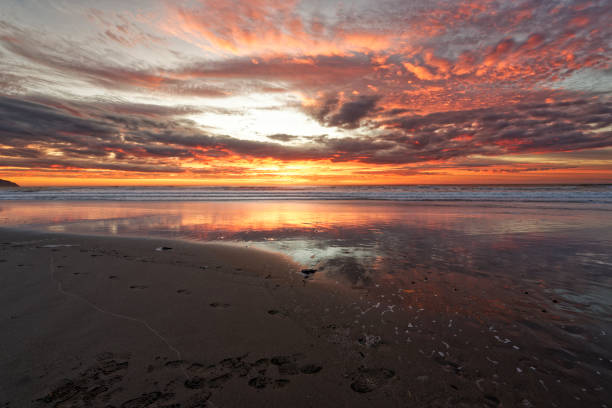 istock Golden sunrise across the ocean on a beach 1293090241