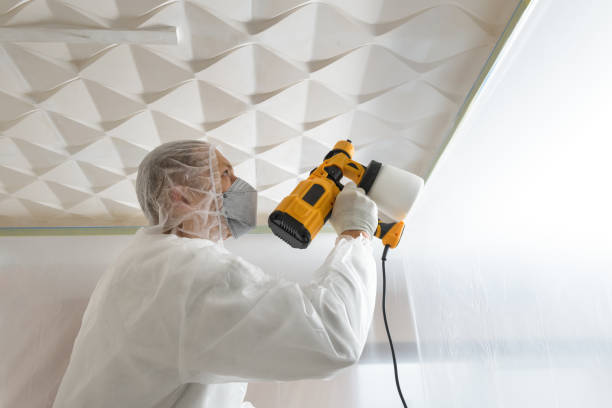 istock The painter is painting a 3d ceiling with a spray gun. 1293096203