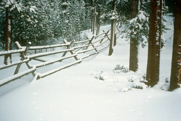 Snow Fence stock photo