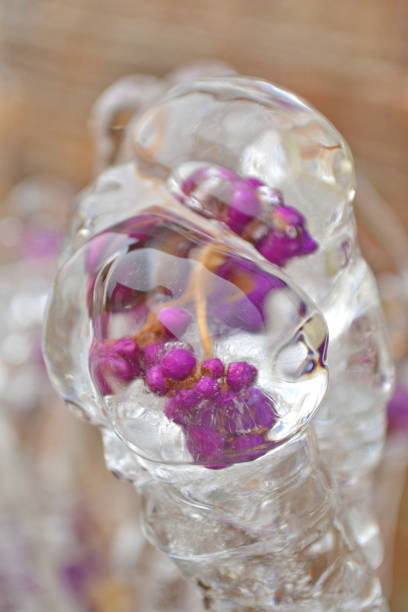 Ice Flower stock photo