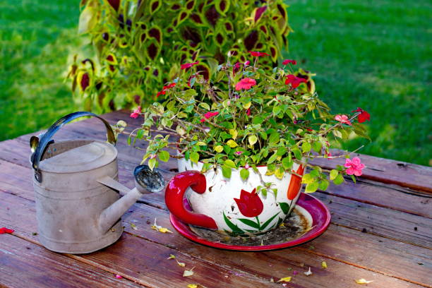 Still Life Tea Pot stock photo