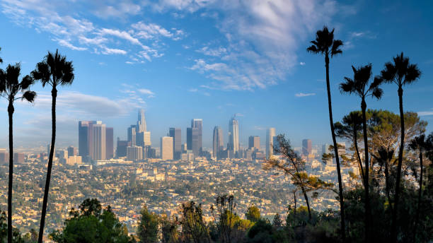 istock Los Angeles downtown skyline cityscape in CA 1293099671