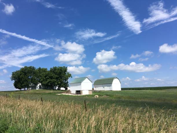 istock Indiana farm with a green and white barn 1293103674