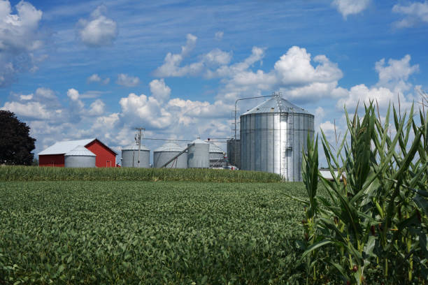 istock Red barn and silos next to a field 1293103757
