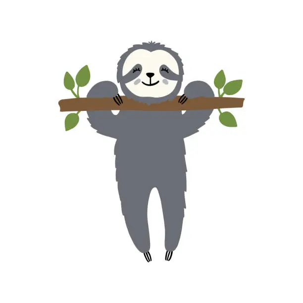 Vector illustration of Cute sloth hanging on a tree branch. Flat hand drawn illustration.
