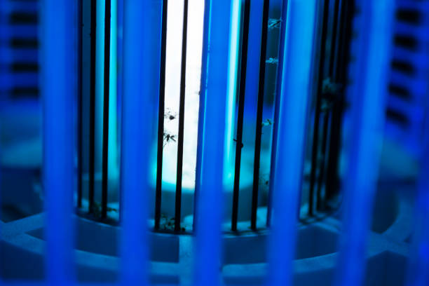 Bright blue glowing UV lamp. Electric insect killer.