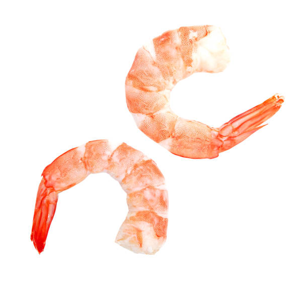 istock Two cooked unshelled tiger shrimps isolated on white 1293116879