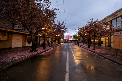 Seattle, USA – April 23, 2020: Late in the day Pike Place Market with spring bloom after a rain at the height of the Coronavirus city wide shut down.