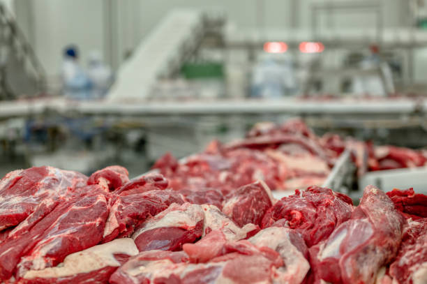 istock Fresh beef. Meat cut into large pieces 1293119051