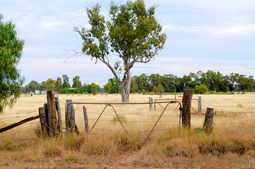 Old farm gate in the outback