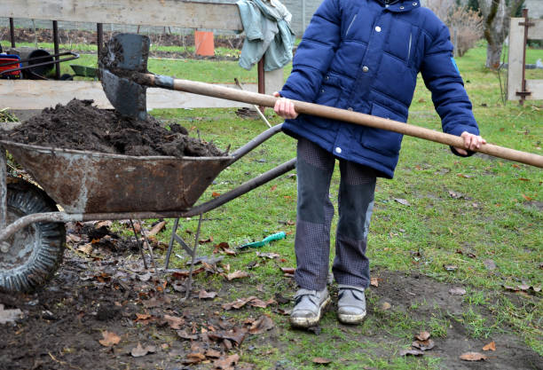 istock young children help to distribute soil from compost. They load a dad's shovel into wheelbarrow to fill the soil. Large decomposed compost is delivered to a field with a vegetable garden in winter. 1293123006