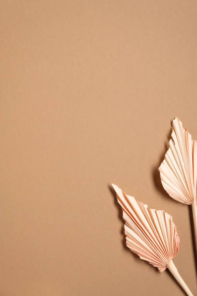 istock Dried flowers on a brown background. Minimalist flat lay composition, view from above. 1293123706