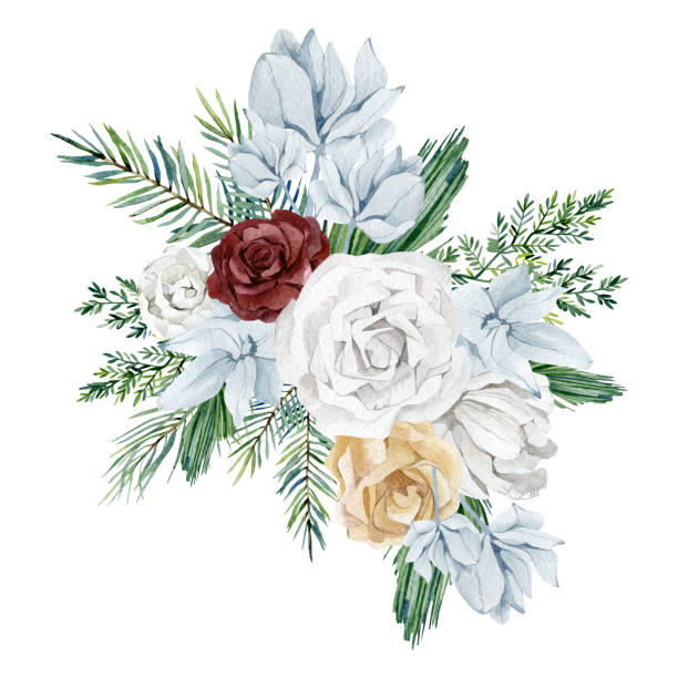 水彩画の冬の花の花束。柔らかい白いバラと牡丹、青い花、緑のモミの木の枝、葉や小枝は、グレッティングカード、ウェディングカード、ベビーシャワーカード、ブライダルカードのため� - christmas wedding bride winter点のイラスト素材／クリップアート素材／マンガ素材／アイコン素材