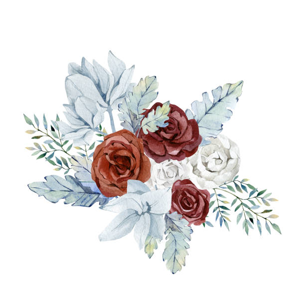 illustrazioni stock, clip art, cartoni animati e icone di tendenza di bouquet floreale invernale acquerello. rosa bordeaux, fiori bianchi, ramo blu verde invernale, fogliame e ramoscelli. illustrazione botanica nuziale per biglietto da avidità, biglietto da sposa, baby shower - bouquet rose peony rosé