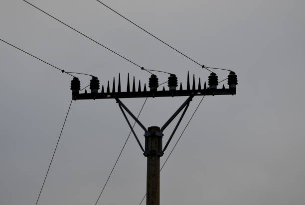 the high voltage poles have three wires between the insulators. fixing spikes that prevent large birds from landing and sitting. their wings would otherwise join the wires and the discharge would burn