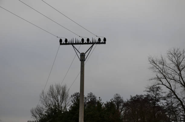the high voltage poles have three wires between the insulators. fixing spikes that prevent large birds from landing and sitting. their wings would otherwise join the wires and the discharge would burn