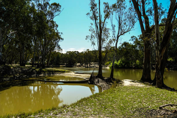 istock Deniliquin, New South Wales, Australia 1293125970