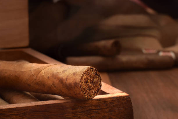 istock Cuban cigar in wooden humidor macro low key 1293130636