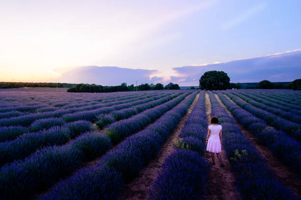 istock Woman Walking On Lavender Fields In Brihuega 1293134431