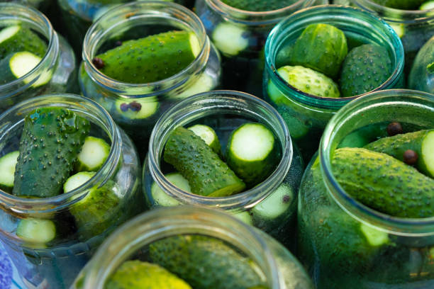 istock harvesting pickled cucumbers,gherkins in jar 1293137216